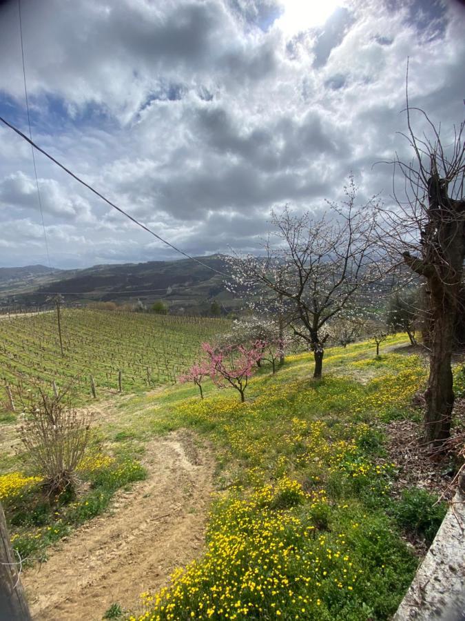 Agriturismo Pian Del Duca Vesime Buitenkant foto