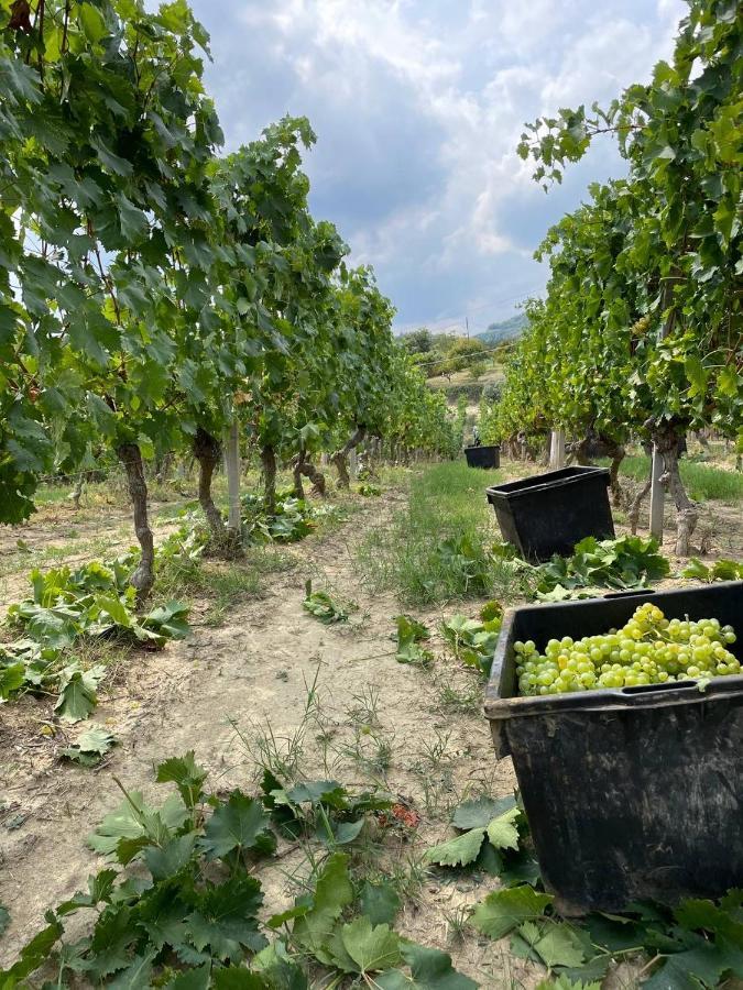 Agriturismo Pian Del Duca Vesime Buitenkant foto