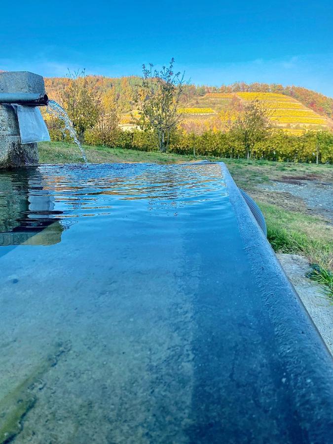 Agriturismo Pian Del Duca Vesime Buitenkant foto