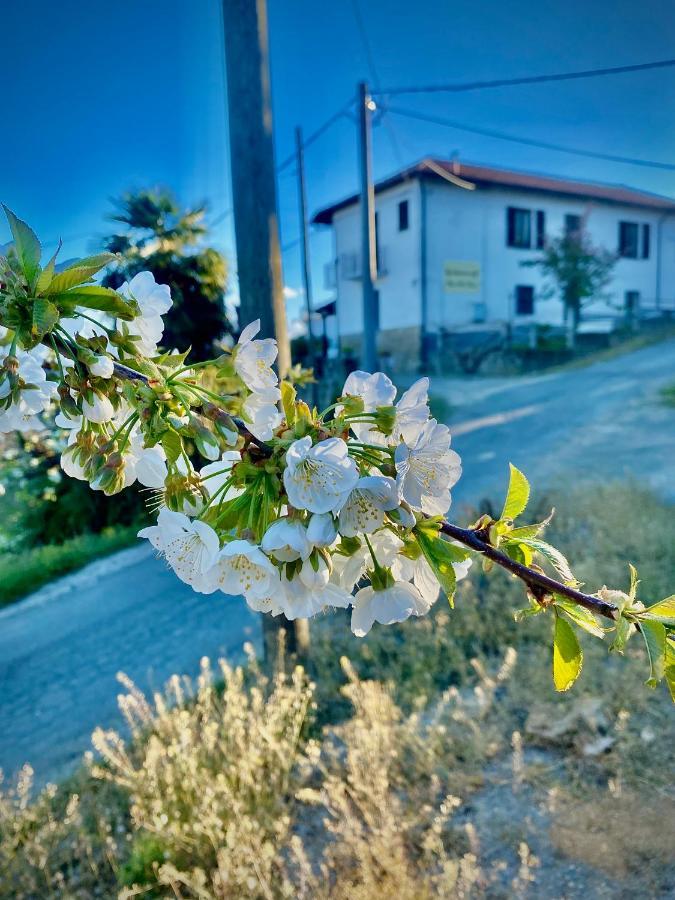 Agriturismo Pian Del Duca Vesime Buitenkant foto
