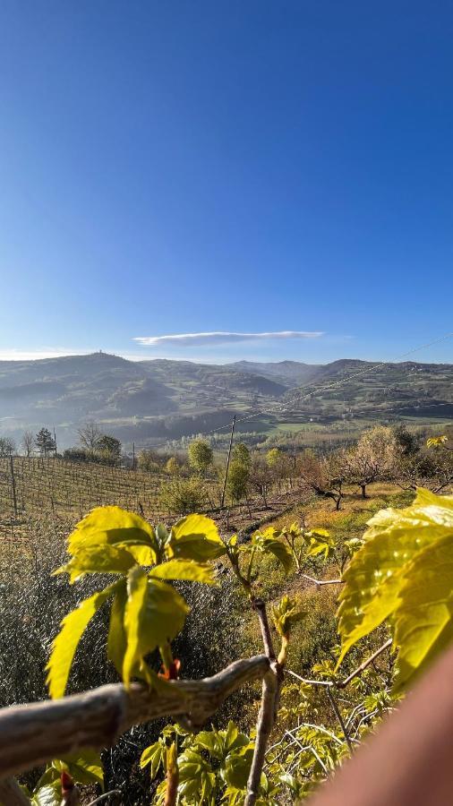 Agriturismo Pian Del Duca Vesime Buitenkant foto
